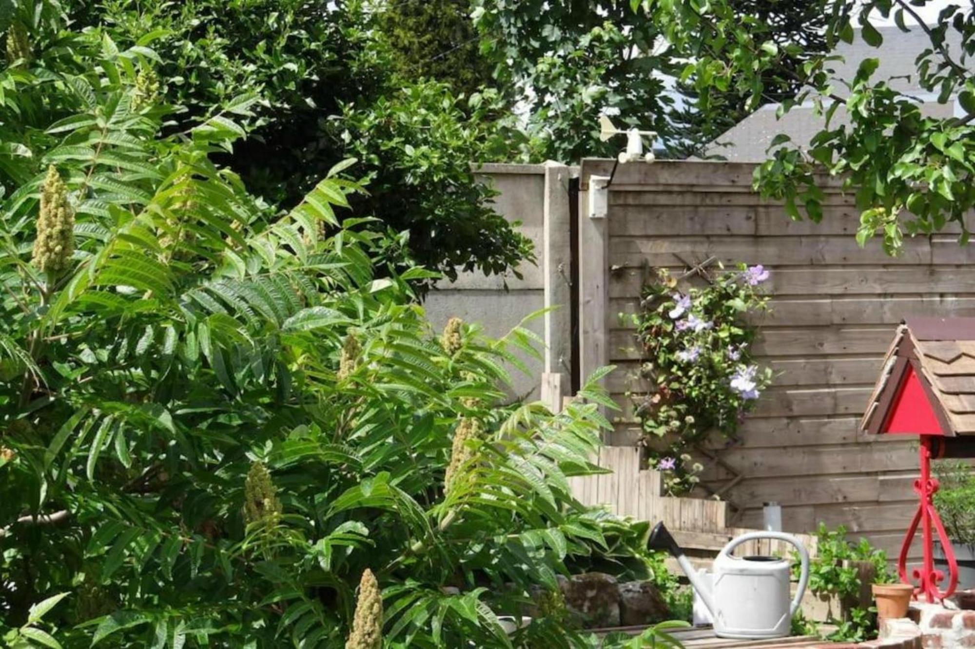 Clos Des Paquerettes : Maison Avec Jardin Privatif Yvetot Eksteriør billede